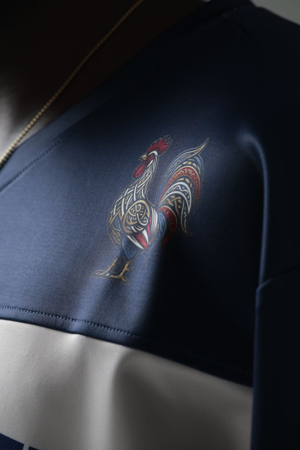 FRANCE Jersey